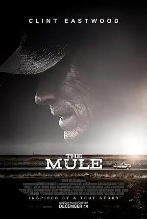 فيلم The Mule 2018 مترجم - باهي فيلم